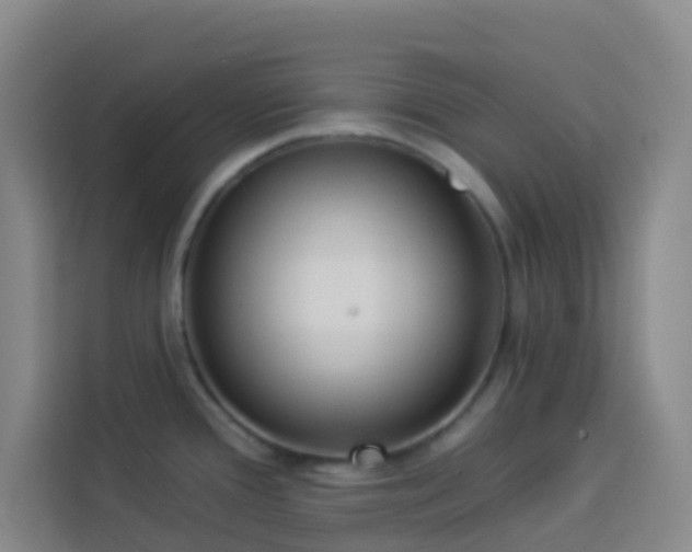 X0000114131388200910081235