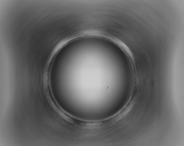 X0000114131389200910081235