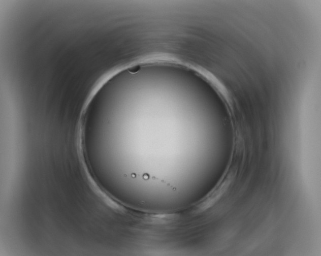 X0000114131390200910081235