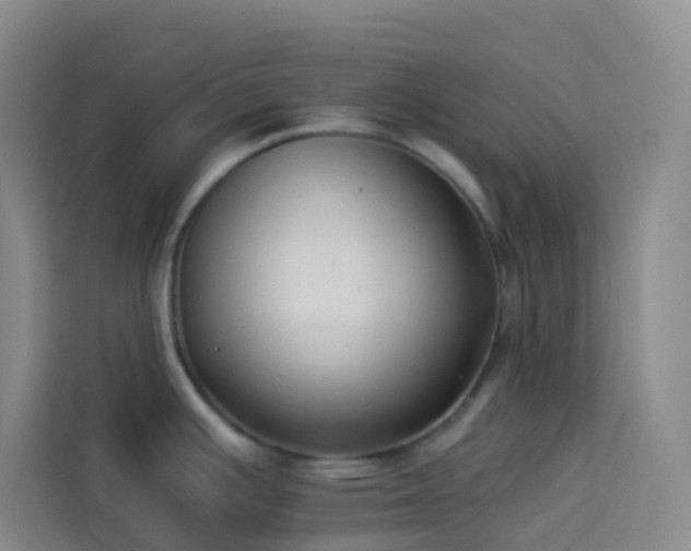 X0000114131391200910081235