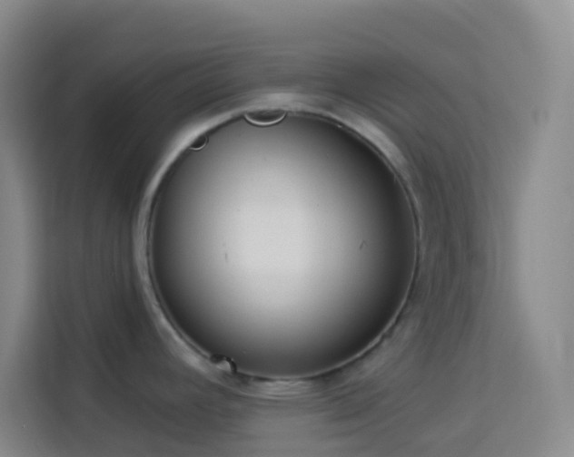 X0000114131392200910081235