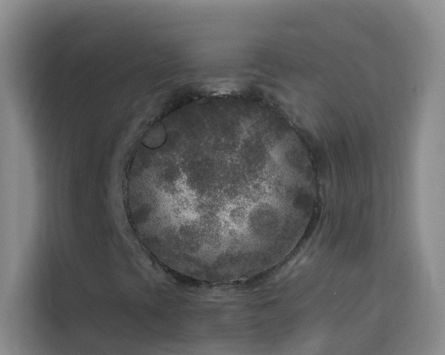 X0000114131393200910081235