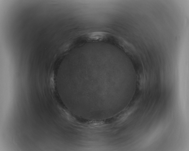 X0000114131394200910081235