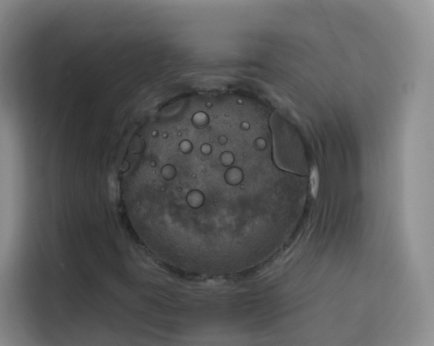 X0000114131395200910081235