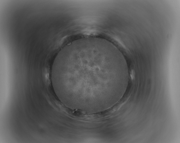 X0000114131396200910081235