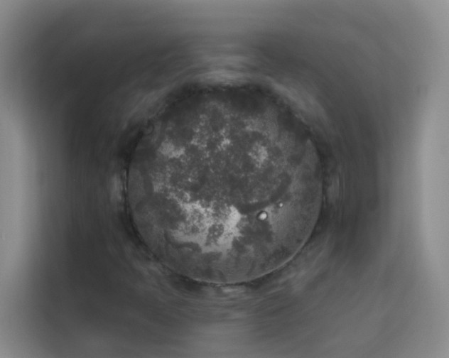 X0000114131397200910081235