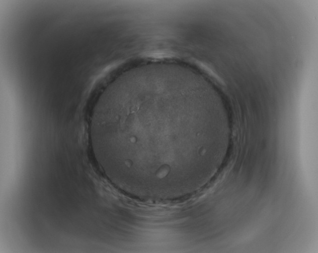 X0000114131398200910081235