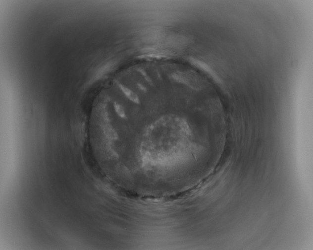 X0000114131399200910081235