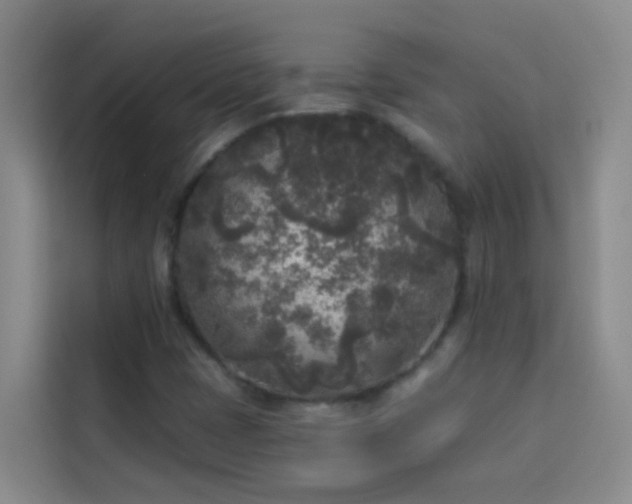 X0000114131401200910081235