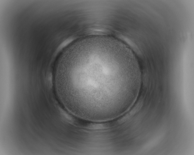 X0000114131402200910081235