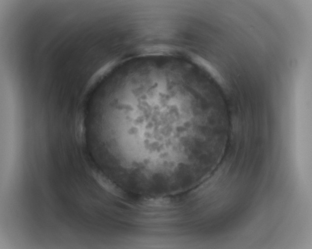 X0000114131403200910081235