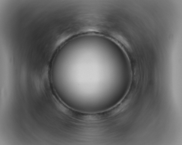 X0000114131404200910081235