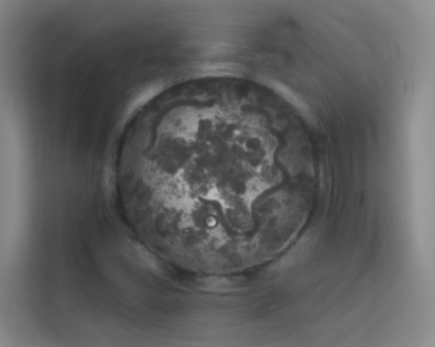 X0000114131405200910081235