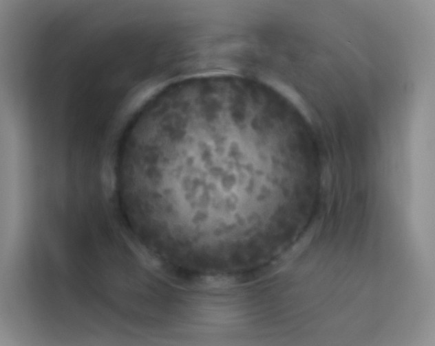 X0000114131407200910081235