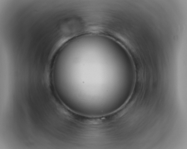 X0000114131410200910081235