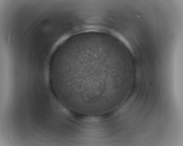 X0000114131411200910081235