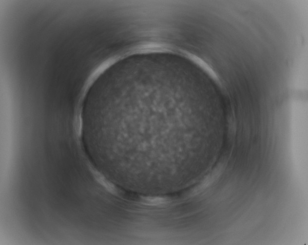 X0000114131413200910081235