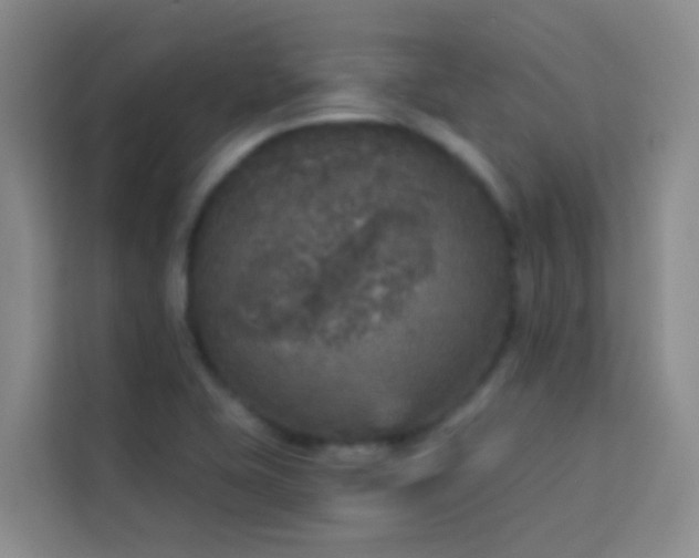 X0000114131415200910081235
