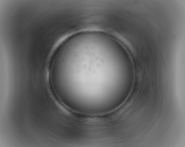 X0000114131416200910081235