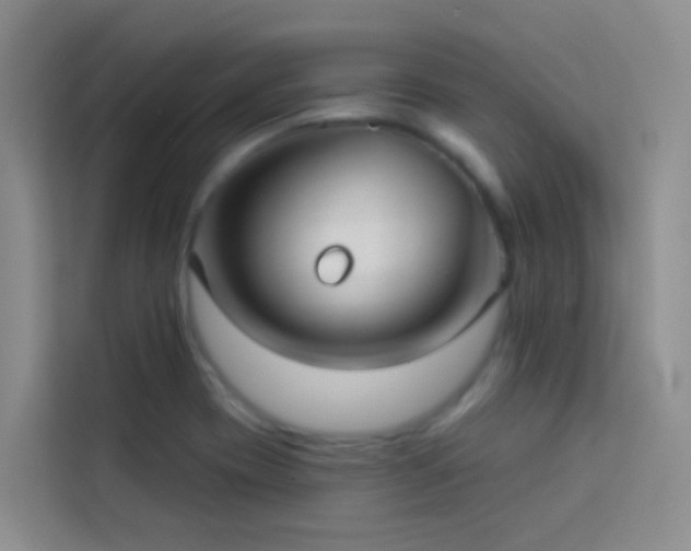 X0000114131417200910081235