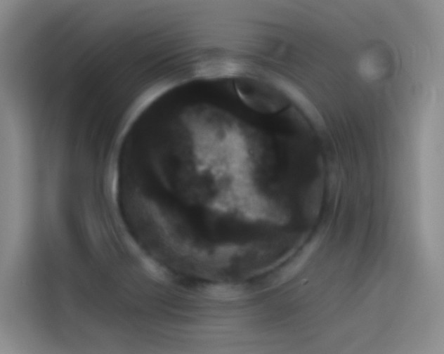 X0000114131418200910081235