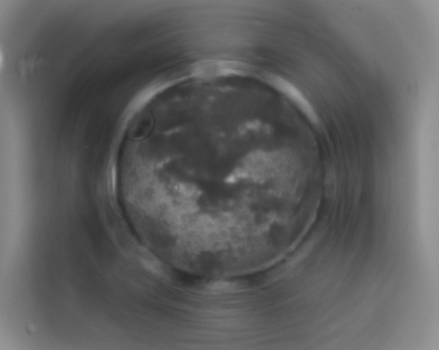 X0000114131419200910081235