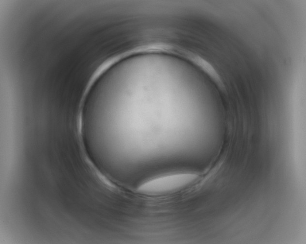 X0000114131420200910081235