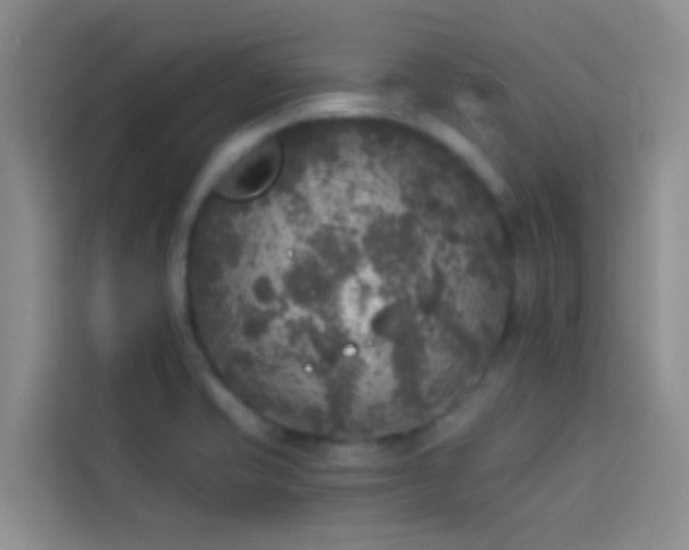 X0000114131421200910081235