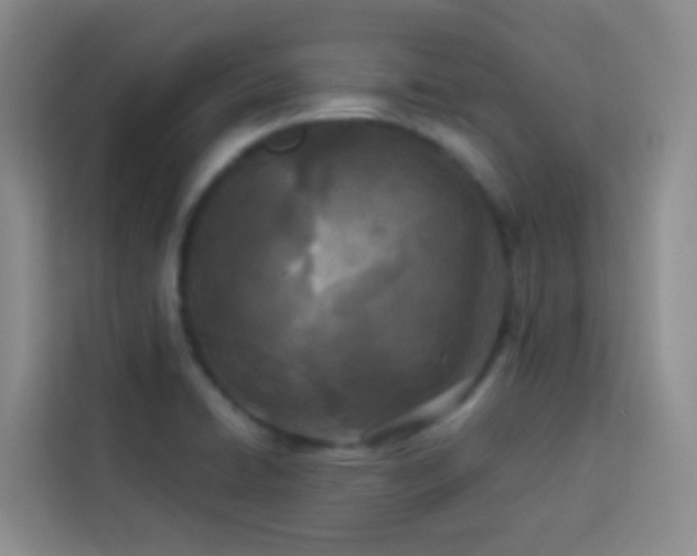 X0000114131422200910081235