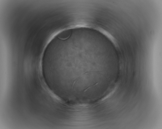 X0000114131423200910081235