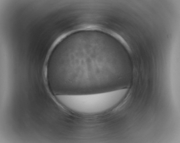X0000114131424200910081235