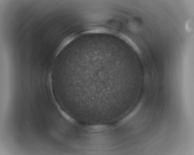 X0000114131425200910081235