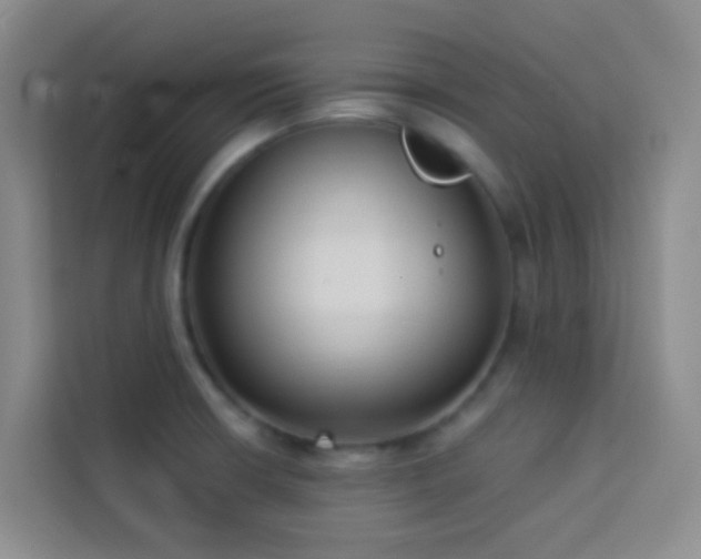 X0000114131426200910081235