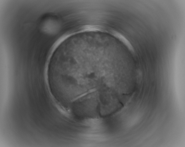 X0000114131427200910081235