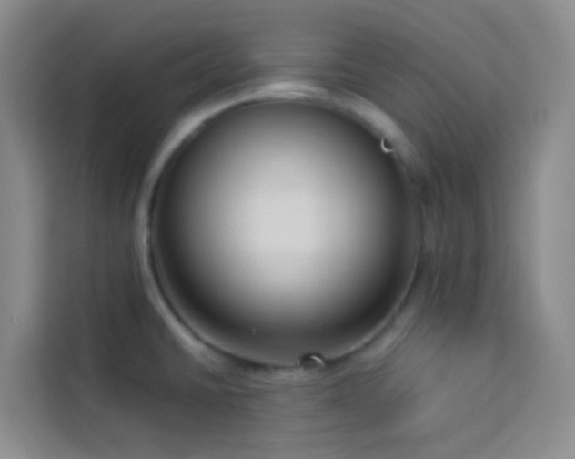 X0000114131430200910081235