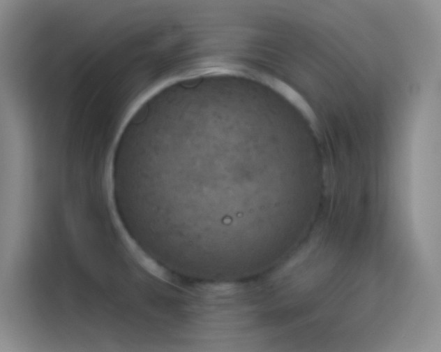 X0000114131431200910081235