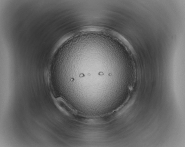 X0000114131433200910081235