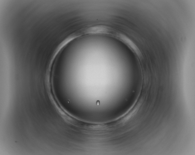 X0000114131434200910081235