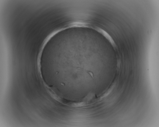 X0000114131435200910081235