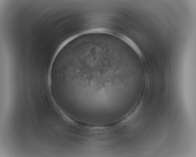 X0000114131436200910081235