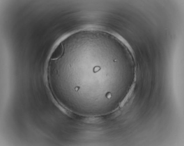 X0000114131437200910081235