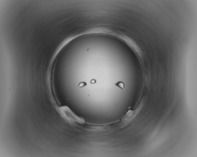 X0000114131438200910081235