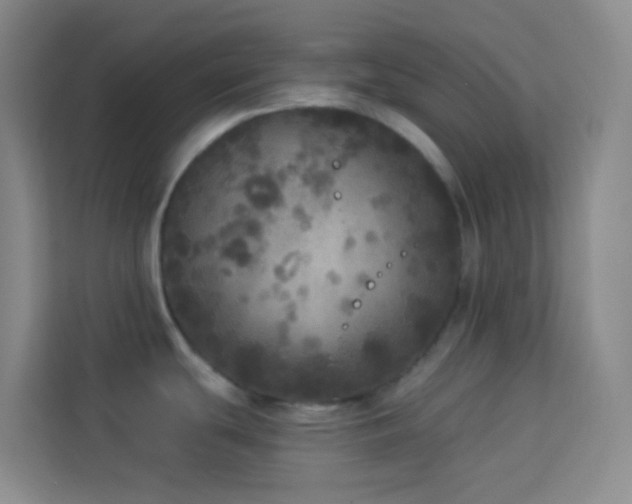 X0000114131439200910081235