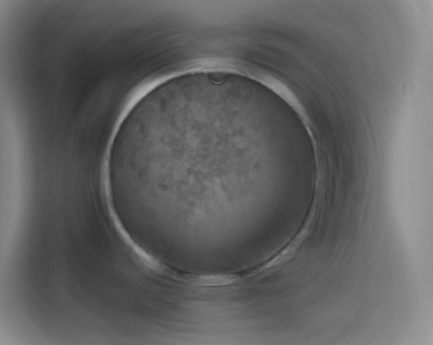X0000114131440200910081235