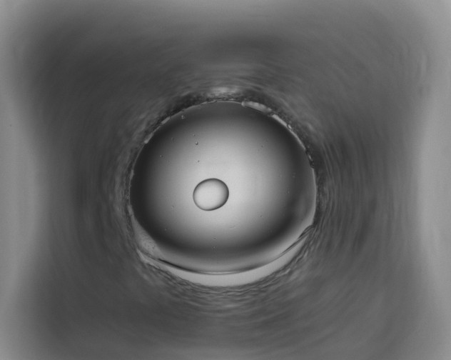X0000114131441200910081235