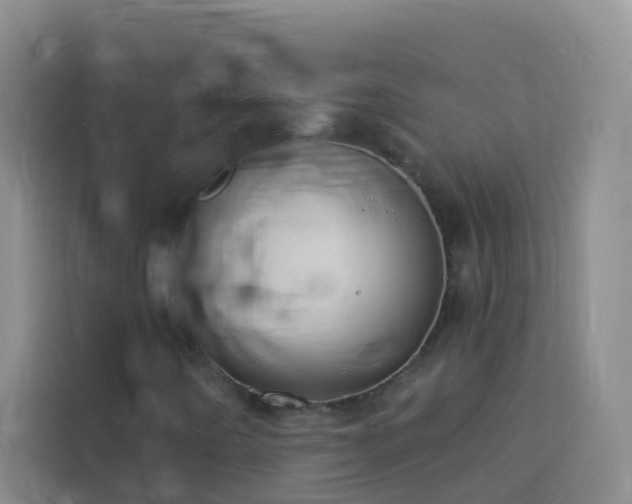 X0000114131442200910081235