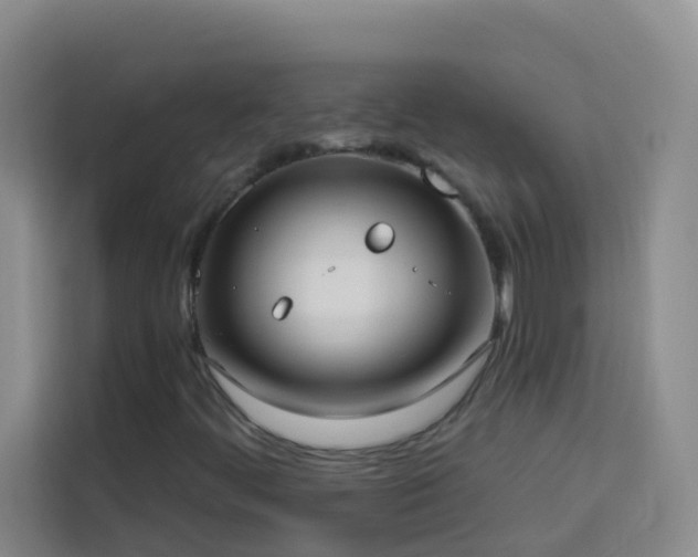 X0000114131444200910081235
