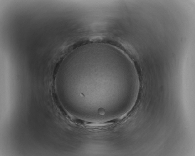 X0000114131445200910081234