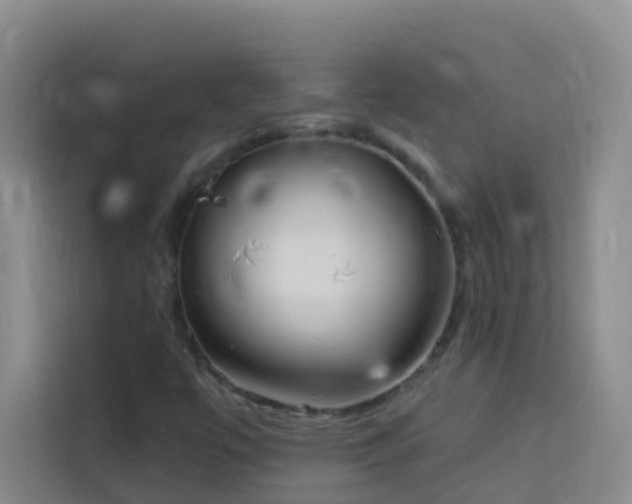 X0000114131447200910081234