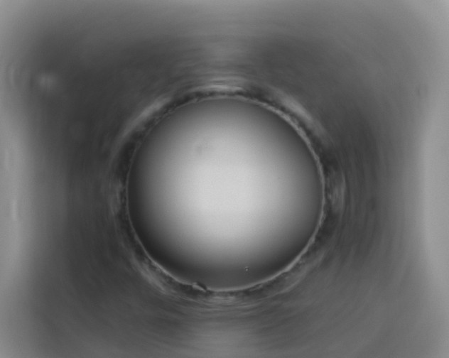 X0000114131448200910081234
